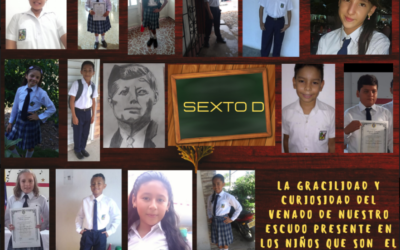 SEXTO D